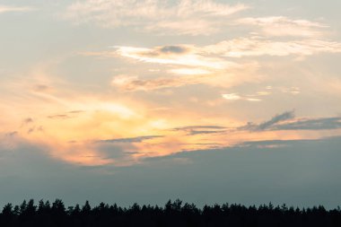 ormanda günbatımı, gökyüzü
