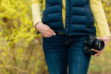 Hor çiçeği bush ayakta eller profesyonel fotoğraf kızla. Park kadın fotoğrafçı yakın çekim.