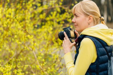 Hor çiçeği bush ayakta eller profesyonel fotoğraf kızla. Kadın fotoğrafçı fotoğraf park yaparken yakın çekim.