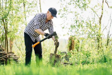 Odun kesmenin balta ile komuta sizde. Bahçede çalışan yaşlı arborist adam. Aktif emeklilik kavramı.