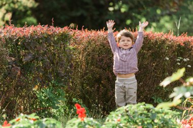Küçük şirin çocuk yaz parkında eğleniyor. Mutlu çocuk dışarıda