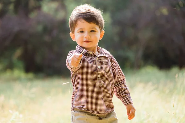 Roztomilý Chlapeček Baví Letním Parku Šťastné Dítě Venku — Stock fotografie