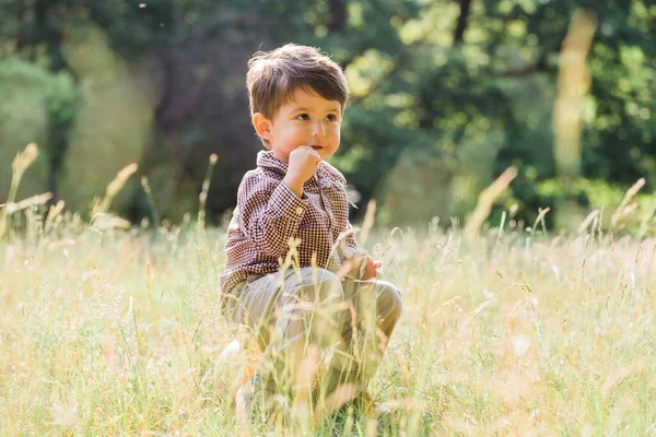 Mignon Petit Garçon Qui Amuse Dans Parc Été Enfant Heureux — Photo