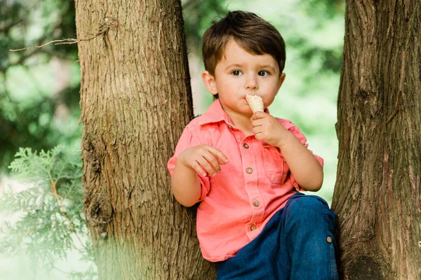 Menino Bonito Divertindo Parque Verão Criança Feliz Livre — Fotografia de Stock