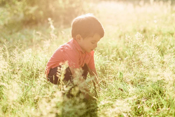 Menino Bonito Divertindo Parque Verão Criança Feliz Livre — Fotografia de Stock