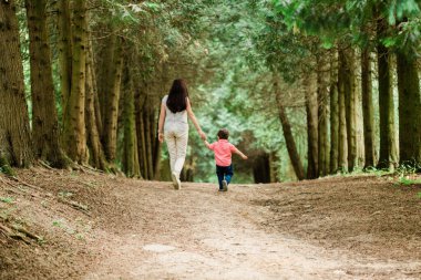 Annemin tatlı oğluyla yaz parkında yürüyüşünün arka planı. Mutlu kadın ve neşeli küçük çocuk dışarıda
