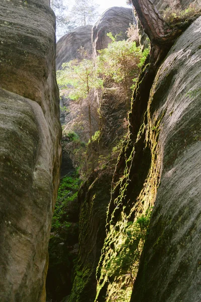 Rock City Adrspach République Tchèque — Photo