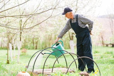 Bahçeyi sulayan kıdemli bahçıvan. Şapkalı yaşlı bir adam. Yaşlı işçi.
