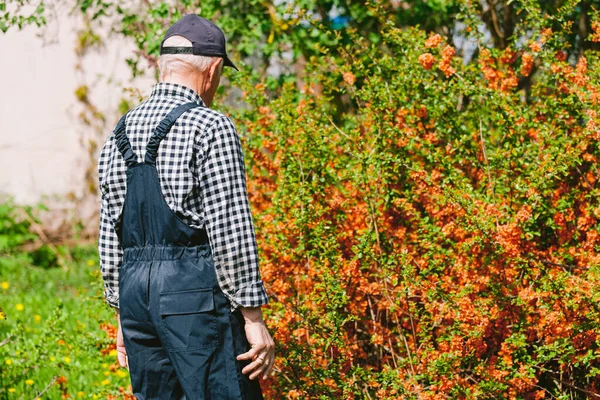 Jardinero Mayor Pie Jardín Hombre Edad General Gorra Béisbol Retrospectiva — Foto de Stock