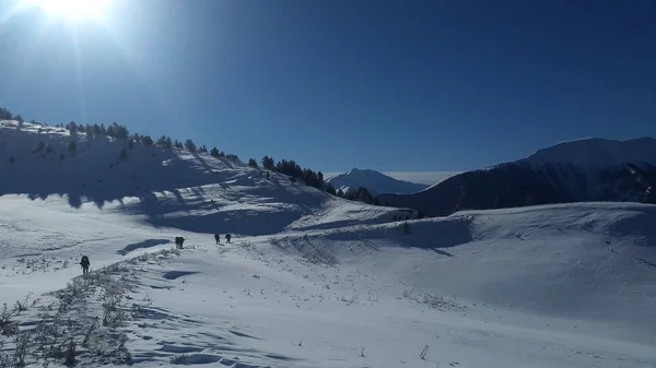 冬の山中で晴れた日 — ストック写真