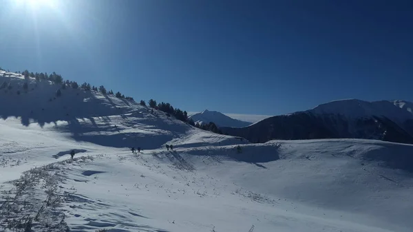 Een Zonnige Dag Winter Berg — Stockfoto