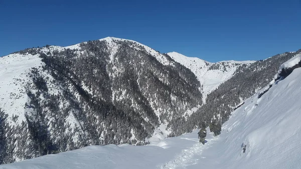 Een Zonnige Dag Winter Berg — Stockfoto