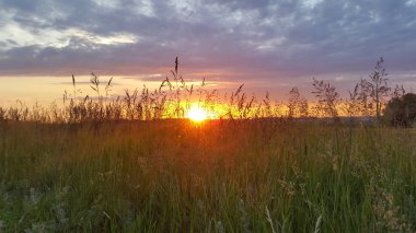 Günbatımı manzara Sibirya alanında