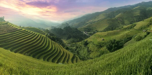 Vietnam pirinç teraslarının panorama sembolü, Mu cang chai.Yenbai, Vietnam.