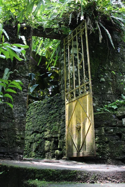 Door in nature, Mexico