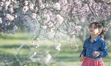 küçük kız bahar badem çiçeği içinde poz