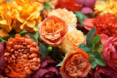 Çok renkli çiçekler arka plan