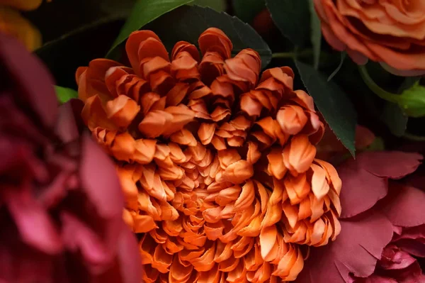 Molti Fiori Con Fiore Grande — Foto Stock