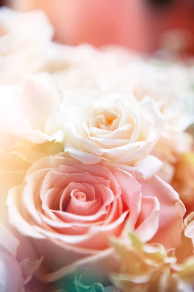 çiçek background. renk filtreleri ile yapılan güzel çiçekler