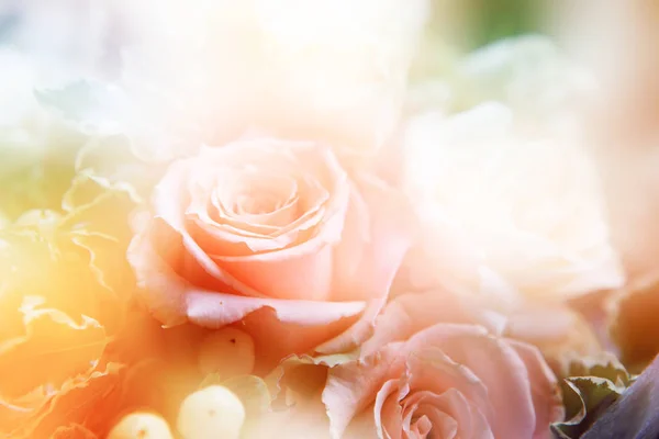 Virágot háttér. gyönyörű virágok tett az színszűrők — Stock Fotó