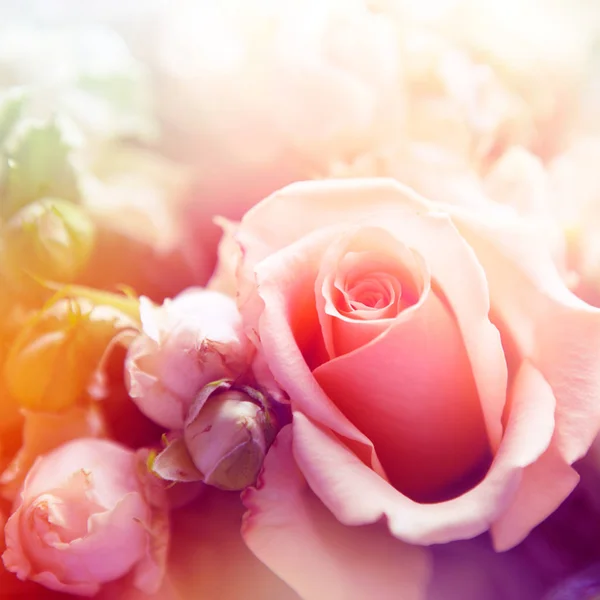 Bloem achtergrond. mooie bloemen gemaakt met kleur filters — Stockfoto