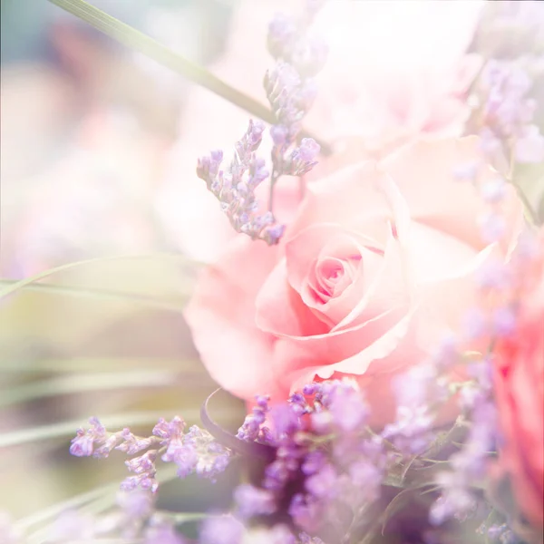 Kwiat tło. piękne kwiaty wykonane z kolorowe filtry — Zdjęcie stockowe
