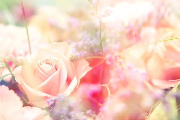 Flower background. beautiful flowers made with color filters — Stock Photo, Image