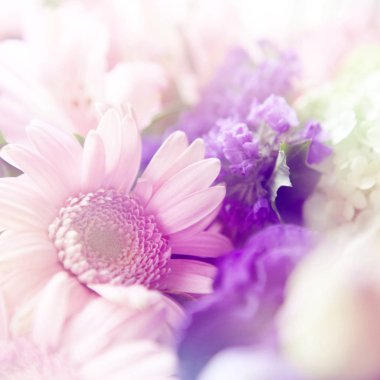 renk filtreleri ile yapılan güzel çiçekler