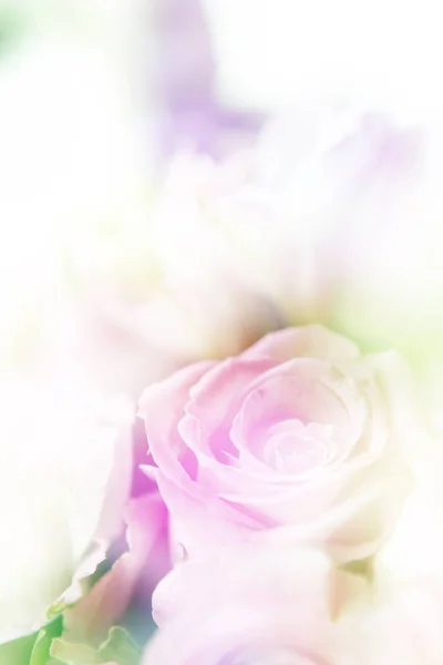 Mooie bloemen gemaakt met kleur filters — Stockfoto