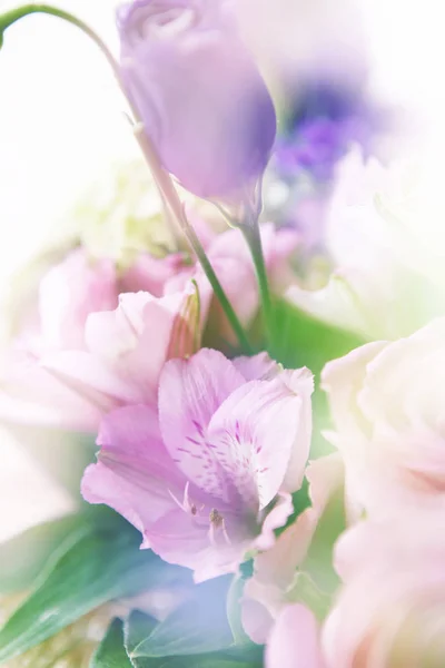 Mooie bloemen gemaakt met kleur filters — Stockfoto
