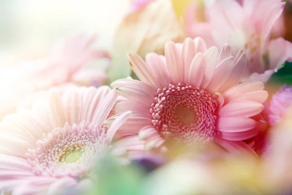 Beautiful flowers made with color filters — Stock Photo, Image