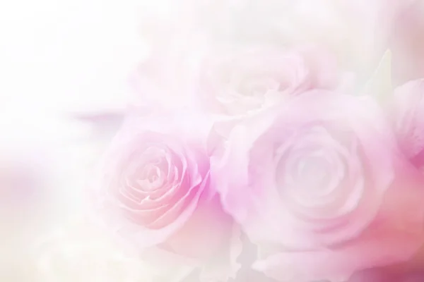 renk filtreleri ile yapılan güzel çiçekler