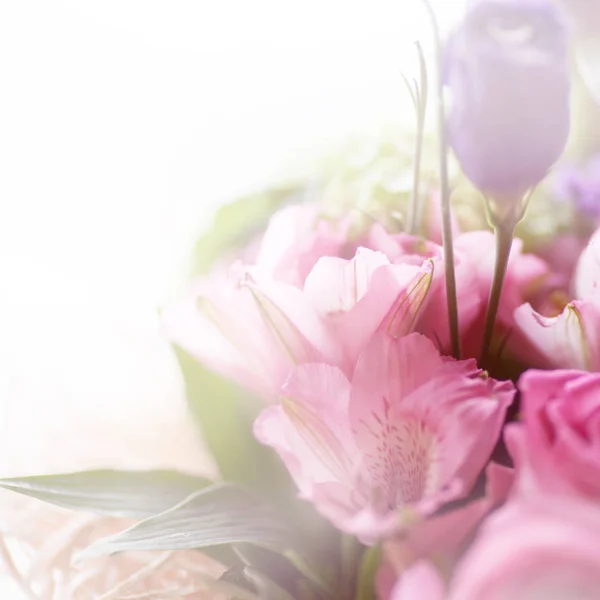 Flores em foco suave - pastagem floral — Fotografia de Stock