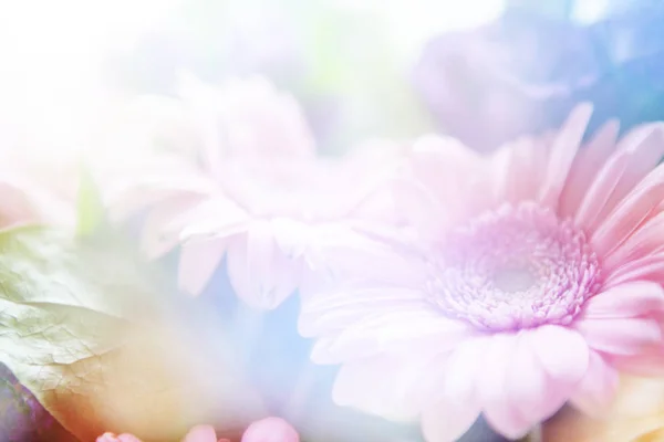 Flores en foco suave - suelo de panadería floral — Foto de Stock
