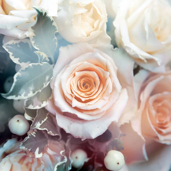 yumuşak odak - çiçek bankamatik çiçeklenir 