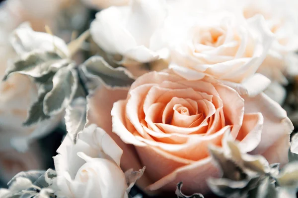 Flores em foco suave - pastagem floral — Fotografia de Stock