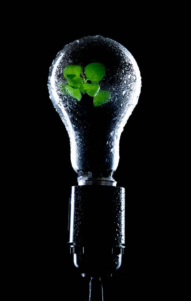 Bright green plant grows inside a light bulb covered with dew, energy saving technology in energy and industry
