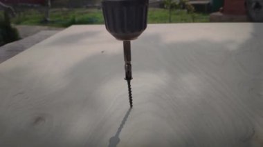 Elektrikli vida sürücüsü yavaş çekimde kontrplak bir levha vida vidalar ve elektrikli aletler ile ahşap yapı bağlama ve monte