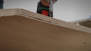 Elektrikli vida sürücüsü yavaş çekimde kontrplak bir levha vida vidalar ve elektrikli aletler ile ahşap yapı bağlama ve monte