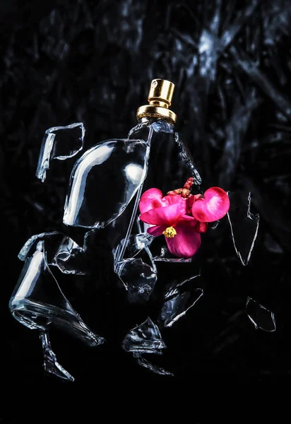 Eine Gläserne Parfümflasche Zerbricht Und Vor Dunklem Hintergrund Brechen Helle — Stockfoto