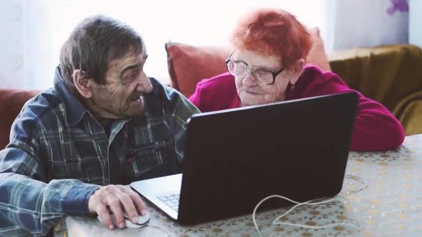 Elderly Couple Mastering Social Networks Pensioners Communicate Relatives Friends Laptop — Stock Video