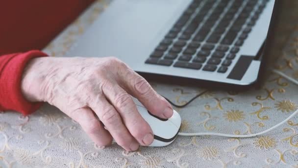 Elderly Woman Talks Phone Works Laptop Grandmother Uses Social Networks — Stock Video