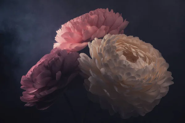 Большие Цветы Пены Бумаги Темном Фоне Розы Пионы Ручной Работы — стоковое фото