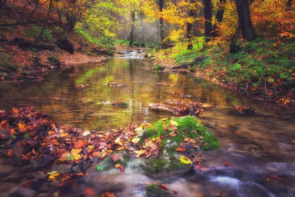 River in deep autumnal forest — Stock Photo, Image