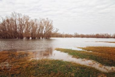 Floodplains bahar sel sırasında su dolu