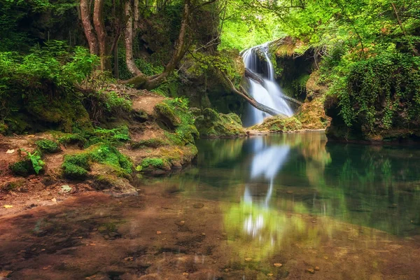 Bosque exuberante verde profundo con río y cascada en el fondo — Foto de Stock