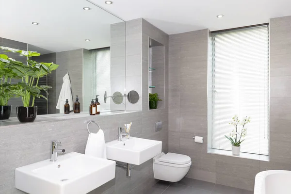 Moderne Grijze Witte Badkamer Met Dubbele Ijdelheid — Stockfoto