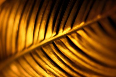 Golden leaf arka plan