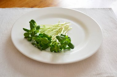 Yeşil ayçiçeği lahanası demet beyaz tabakta. Paskalya tablo hizmet dekorasyon