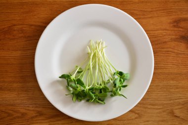 Yeşil ayçiçeği lahanası demet beyaz tabakta. Paskalya tablo hizmet dekorasyon